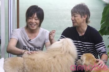 Mr. Tambourine Man DJCD DVD