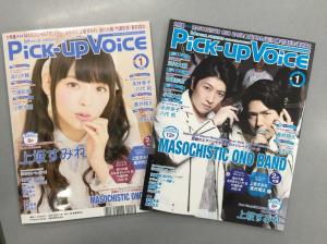 Pick-Up Voice