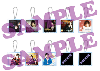 akril_keyholder_secret_ver