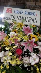 29684884070_52cb63ba3c_k