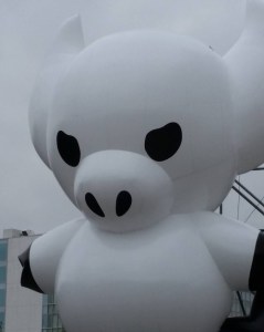 tumblr_odr7cazv3u1r5vow8o1_500